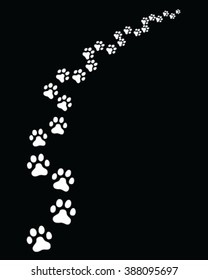 Footprints of cat, turn right