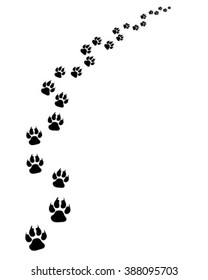 Footprints of cat, turn right