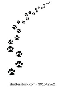 Footprints of cat, turn right