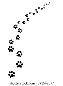 Footprints of cat, turn right