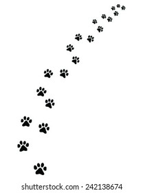 Footprints of cat, turn right, vector