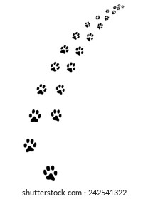 Footprints of cat, turn right, vector