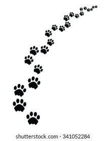 Footprints of cat, turn right, vector