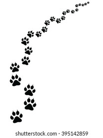 Footprints of cat, turn right, vector illustration