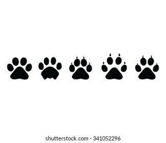 Footprints of cat, vector