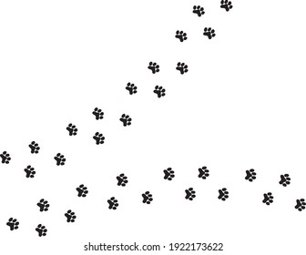 Dog Paw Prints Border On White Stock Vector (Royalty Free) 261777635 ...