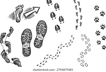 Footprints collection featuring diverse animal tracks and human shoe prints drawn in a simple black and white sketch style