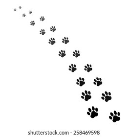 footprints of dog