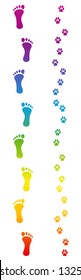 Footprints of dog and barefoot human master going for a walk. Rainbow colored footsteps. Isolated vector illustration on white background.
