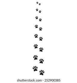 Footprints of dog isolated on white background. Animal paw icon or sign. Vector illustration.