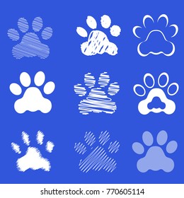 Footprints of dog paws