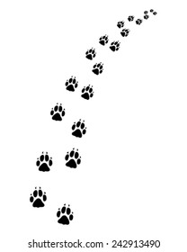 Footprints of dog, turn right, vector