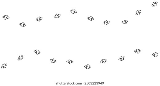 Footprints of Farm Animal, Traces of a ferret on white background. Ferret silhouette animal tracks. Paw Print. Vector illustration. EPS10.