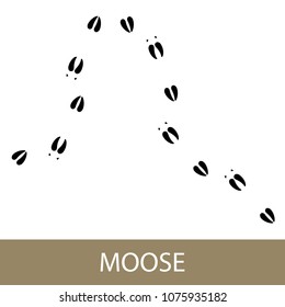 Footprints of Forest Animal, Traces of a Moose , Vector Illustration