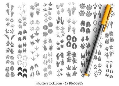 Footprints and handprints doodle set. Collection of hand drawn prints of foot and hands go human, mammals, birds, pets, reptiles isolated on transparent background