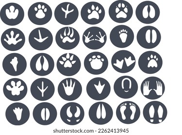 footprints icon  set   vector design