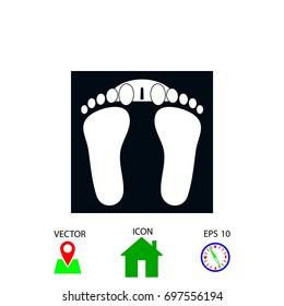 footprints icon vector, flat design best vector icon