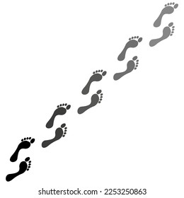 Footprints on white background. Vector illustration.
