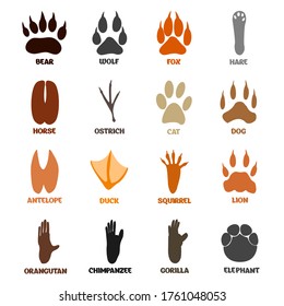 Footprints set of animal birds and mammals paw print vector