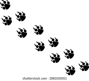 Footprints or steps of a big cat. Panther or tiger traces	
