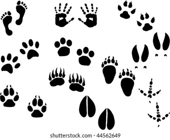 9,619 Wolf footprint Images, Stock Photos & Vectors | Shutterstock