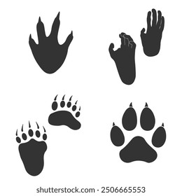 Footprints of Wild Animals, Traces of a crocodile, bear, tiger, monkey on white background with titles.  Silhouette animal tracks in gray. Paw Print for your  design. Vector illustration. EPS10.