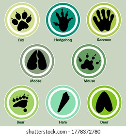 footprints of wild animals vector image