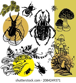 Foraging for mushrooms and beetles hand drawn illustration