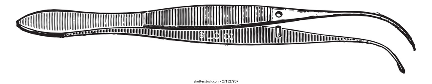 Forceps convenient for handling cover-glasses, blocks of tissues and sections, vintage engraved illustration. 