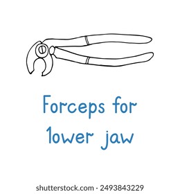 Forceps For Lower Jaw - hand drawn dental instrument