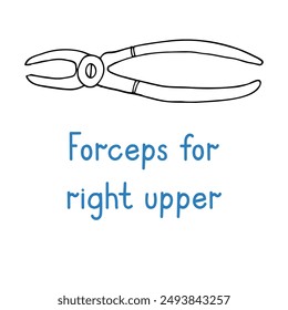 Forceps For Right Upper Molar - hand drawn dental instrument