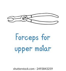 Forceps For Upper Molar - hand drawn dental instrument