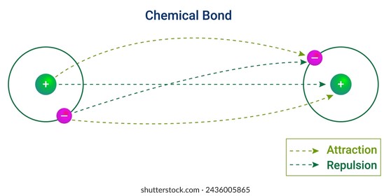 The forces of attraction and repulsion that holds two or more atoms