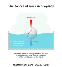 5,610 Buoyancy Images, Stock Photos & Vectors | Shutterstock