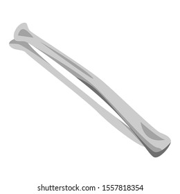 Forearm bone icon. Isometric of forearm bone vector icon for web design isolated on white background