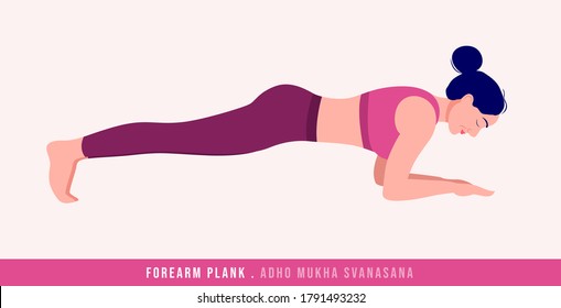 Forearm Plank- Adho Mukha Svanasana Yoga pose. Young woman practicing yoga / exercise. Woman workout fitness, aerobic and exercises. Vector Illustration.