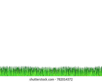 foreground green grass, fresh spring grass in design elements isolated on white background
