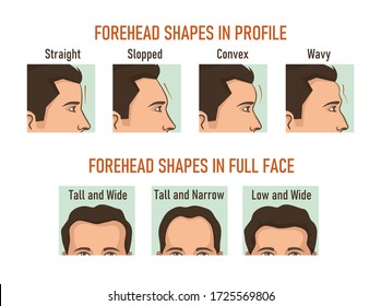 Formas de frente en perfil y cara completa