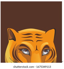 The forehead of a young tiger. It may use as an avatar