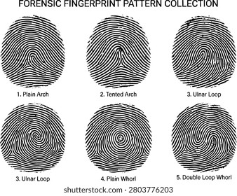 Forensic Fingerprint Pattern Collection — Plain Arch Tented Arch Ulnar Loop Plain Whorl Double Loop Whorl Black Ink Biometric Identity Set