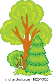 Forest