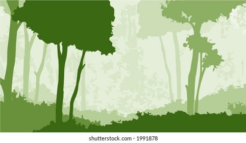 a forest