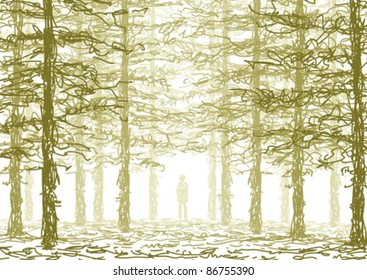 in the forest