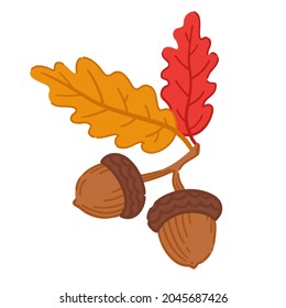 Forest acorns and autumn leaves. Vector illustration.