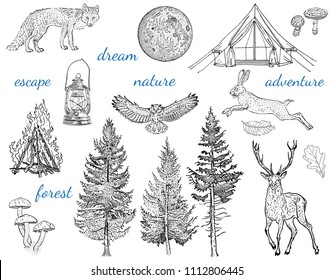 Forest adventure collection: glamping tent, bonfire, camping lamp, full moon, spruce, fir tree, mushrooms, fox, hare, deer, owl. Hand drawn vintage engraving style vector illustration.