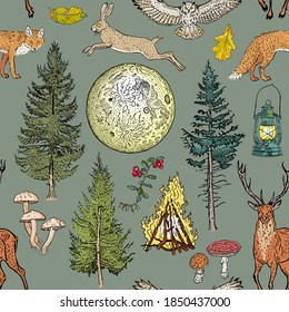 Forest adventure magic seamless pattern: bonfire, camping lamp, full moon, spruce, fir tree, mushrooms, fox, hare, deer, owl berries Spirits of the northern woods.