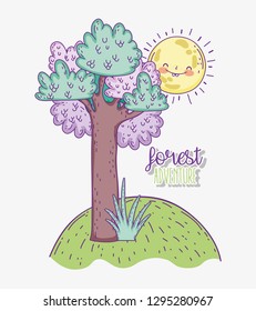 forest adventure with sun and tree with grass