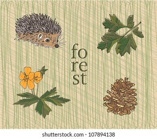 Forest adventures set