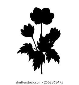 Forest Anemone black silhouette isolated on white. Hand drawn single flower with stem and leaves, stencil style. Vector clipart for spring flowers and springtime illustration, floral design and print.