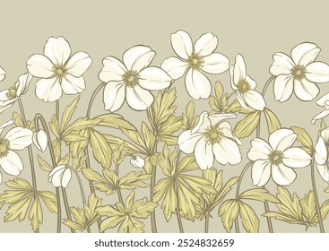 Flores de la anémona del bosque, flores decorativas y hojas. Ilustración vectorial. En estilo botánico